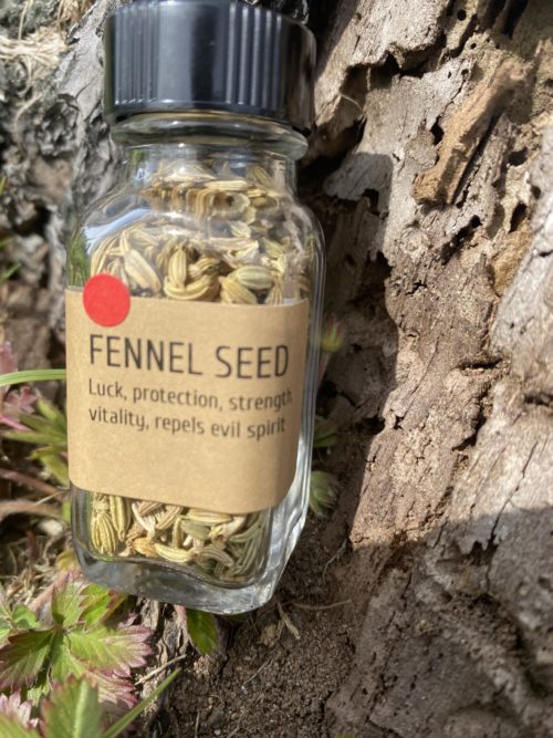 Fennel Seed - Image 2
