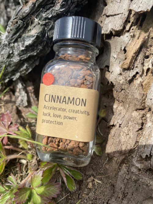 Cinnamon - Image 2