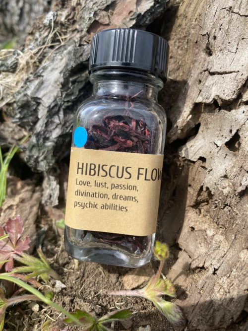 Hibiscus Flower - Image 2