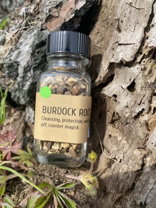 Burdock Root - Image 2