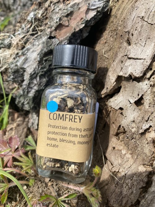 Comfrey Root - Image 2