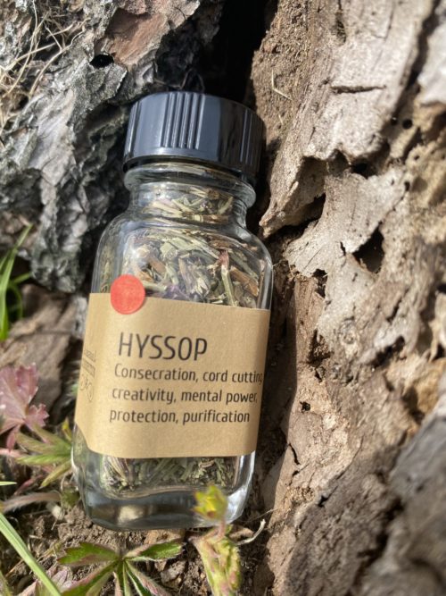 Hyssop - Image 2