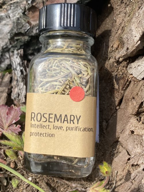 Rosemary - Image 2
