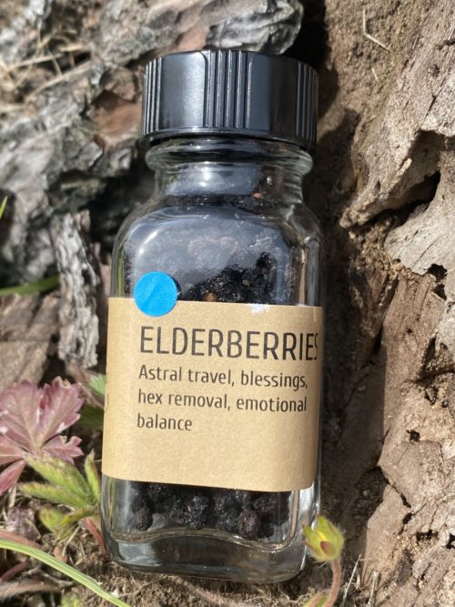 Elderberries - Image 2
