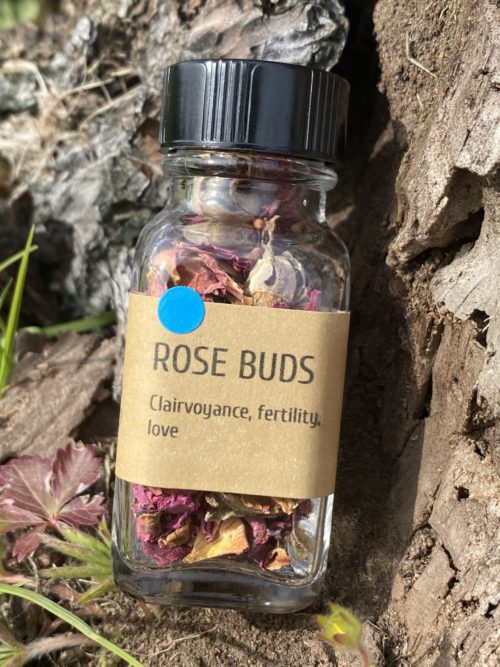 Rose Buds - Image 2