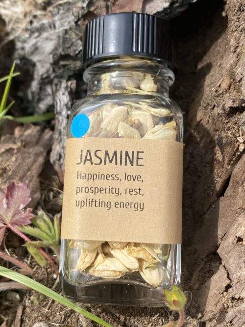 Jasmine Flower - Image 2