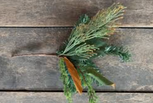 Cedar Tips