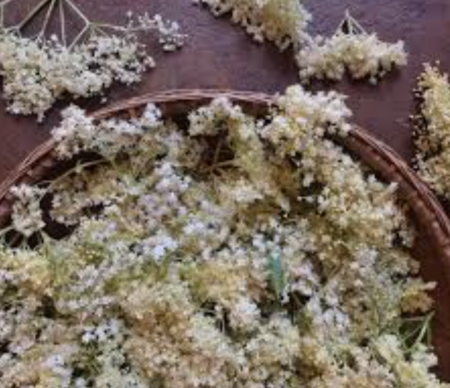 Elderflower
