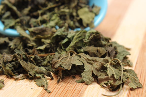 Nettle Leaf
