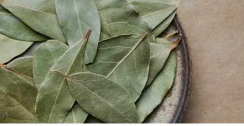 Bay Leaf