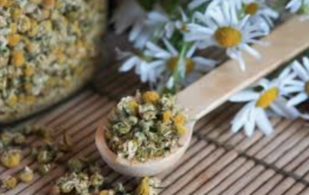 Chamomile
