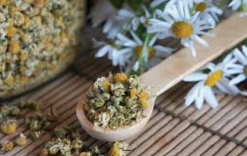 Chamomile